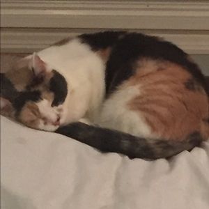 Meet your Posher, Diane